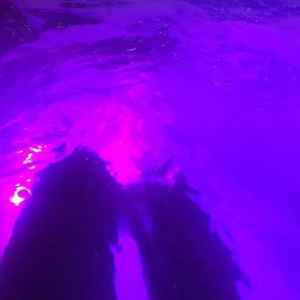 3d动漫色色视频
